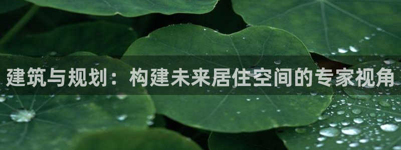 非凡娱乐简介图片：建筑与规划：构建未来居住空间的专家视角